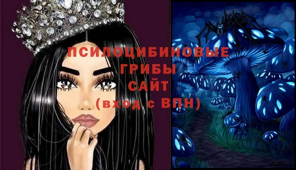 ПСИЛОЦИБИНОВЫЕ ГРИБЫ Козельск