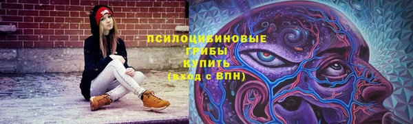 дурь Кодинск