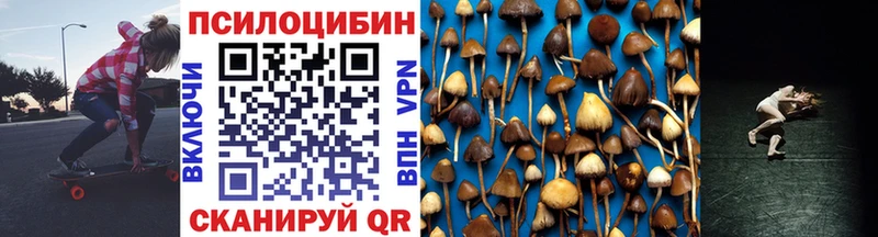 Галлюциногенные грибы Cubensis  Купить где  Пыталово 